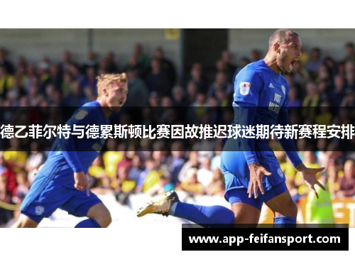 德乙菲尔特与德累斯顿比赛因故推迟球迷期待新赛程安排